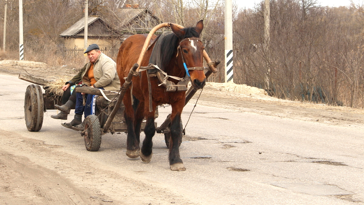 Хохол телега. Телега с лошадью. Лошади в деревне. Телега деревенская. Лошадь запряженная в телегу.