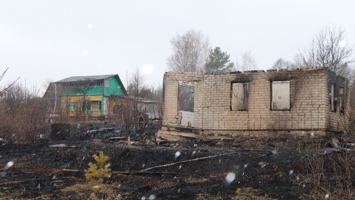 Четыре дома и двадцать нежилых построек сгорели в сасовском дачном поселке