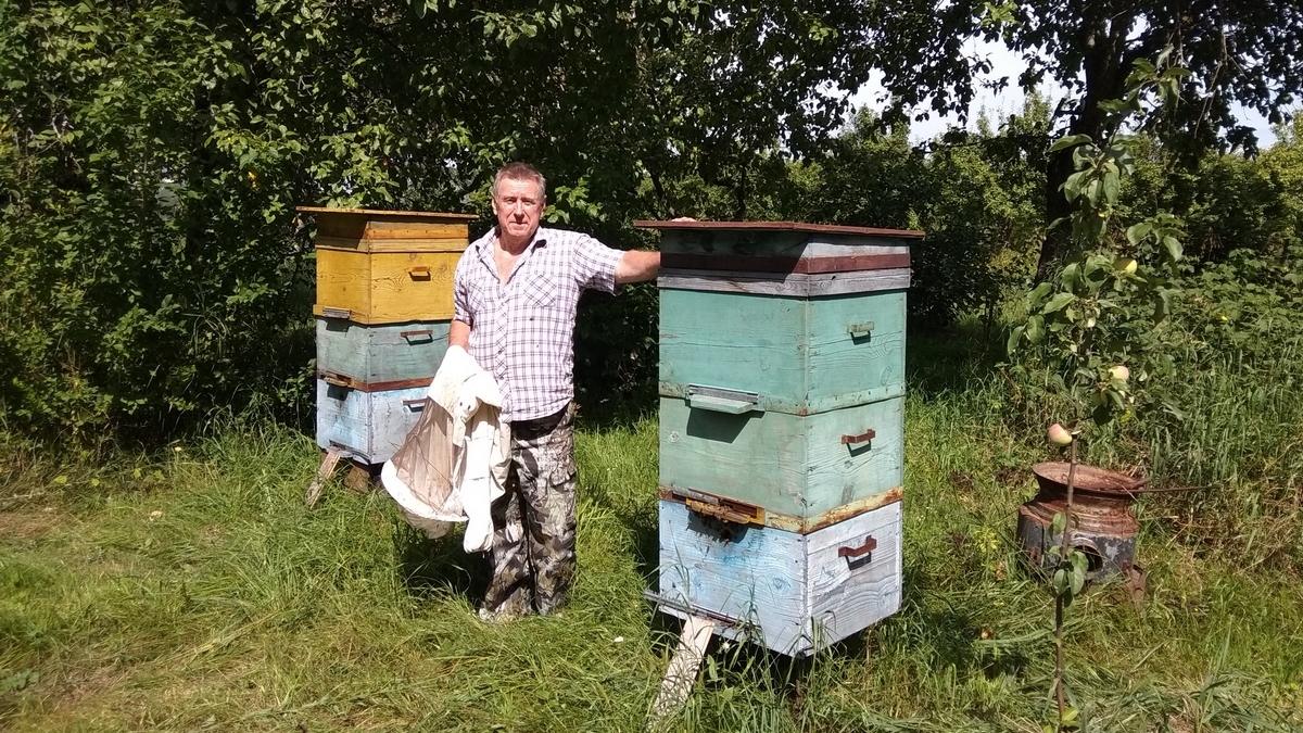 Купить пчел в рязанской области