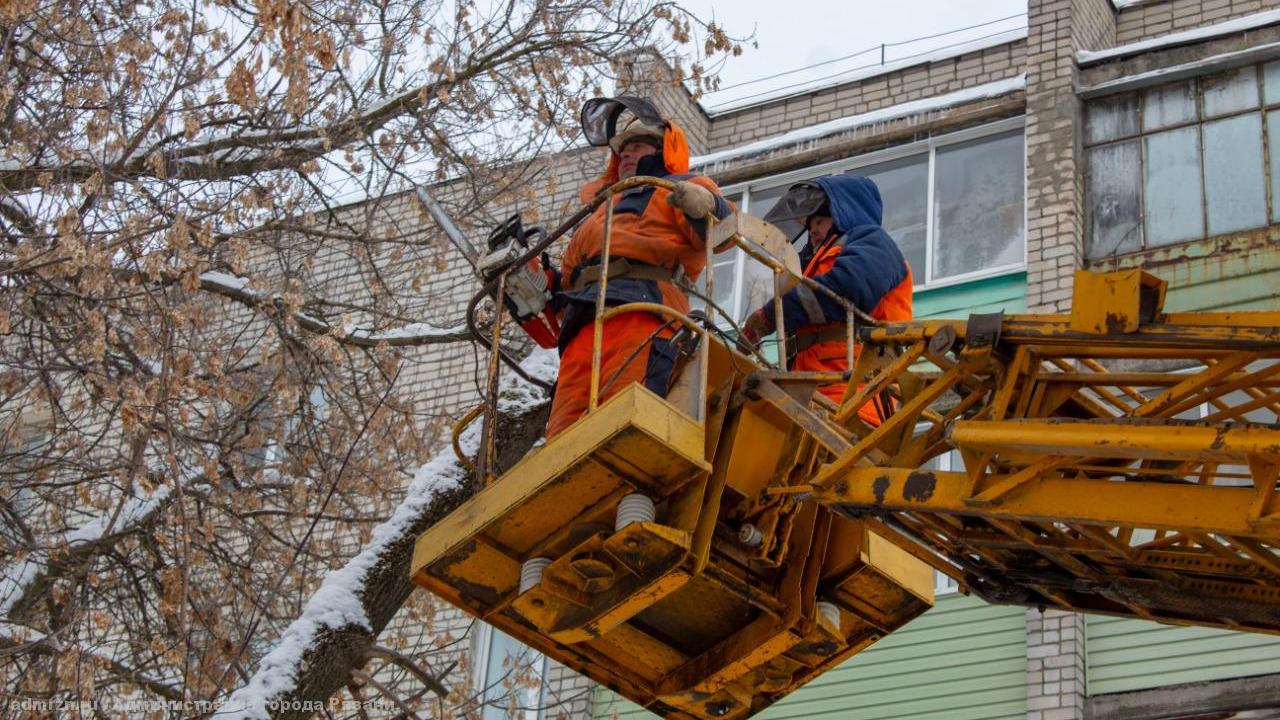 Аварийные деревья спиливают в Рязани | ИЗДАТЕЛЬСТВО «ПРЕССА»