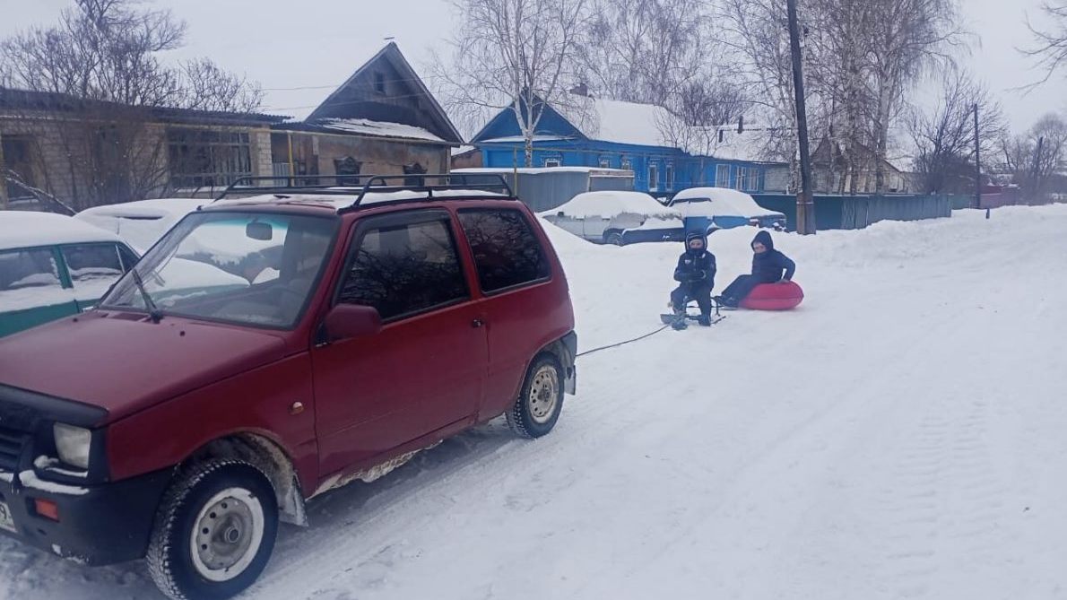 Деда, катавшего внуков на ватрушке в Паниках Сараевского района,