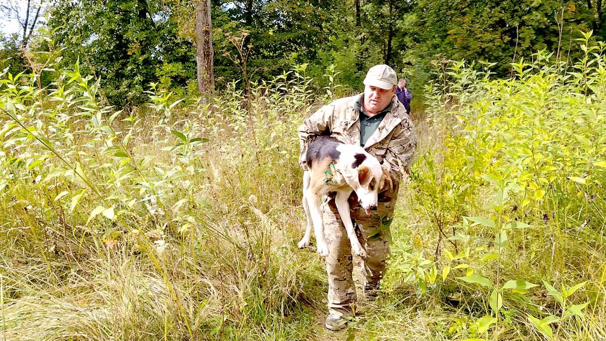 Архивы Пронский район - Страница 95 из 279 - ИЗДАТЕЛЬСТВО «ПРЕССА»