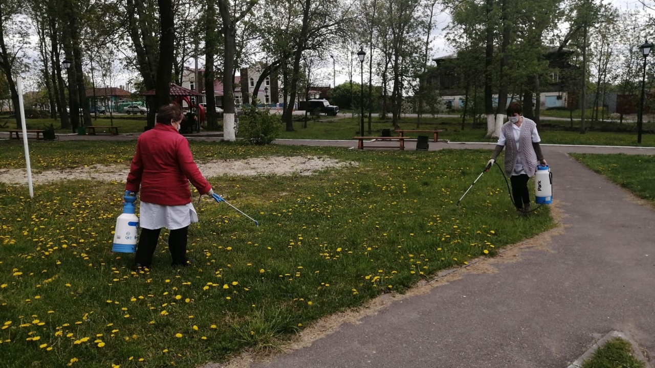 Клещи в парках. Сквер Шацкого Обнинск. Московские парки обработали против клещей. Люди в парке Рязань.