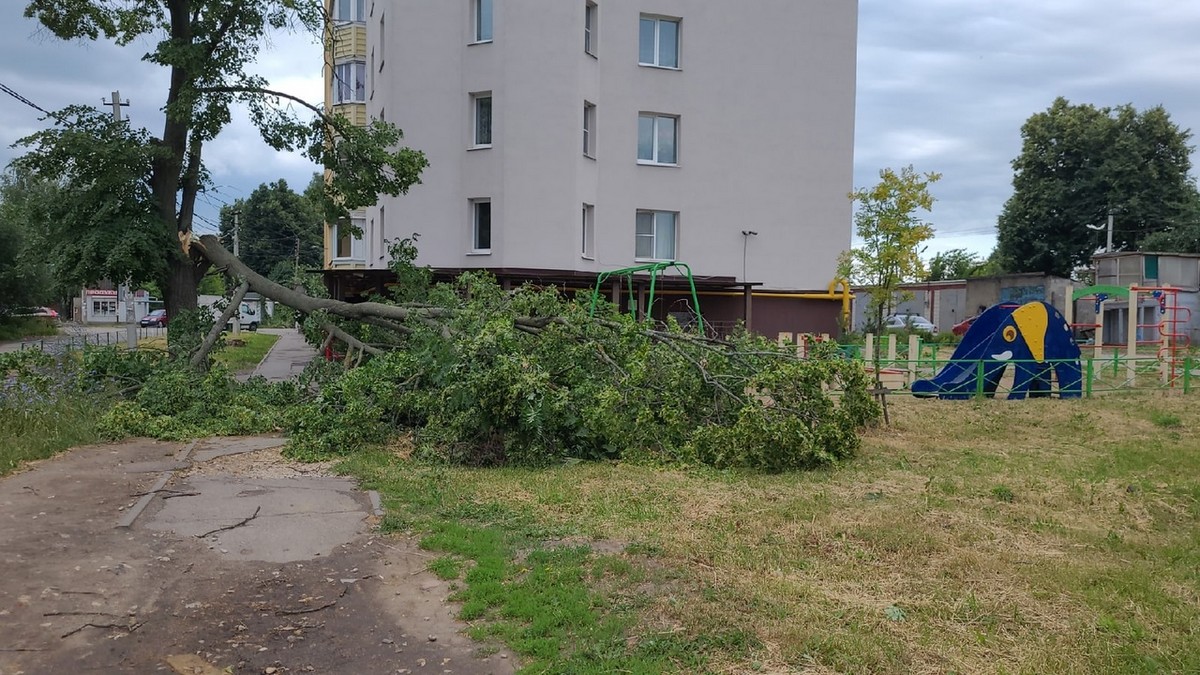 В Рыбном устраняют последствия урагана | 12.07.2022 | Рязань - БезФормата