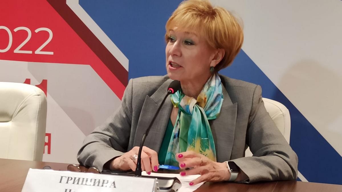 Наталья Гришина: «На брифинге в Общественной палате РФ мне было