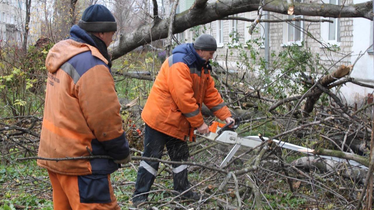 В Рязани устраняют последствия ураганного ветра - ИЗДАТЕЛЬСТВО «ПРЕССА»