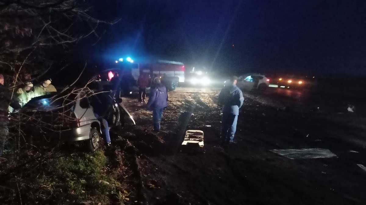 В Александро-Невском районе нетрезвый водитель устроил ДТП на встречной