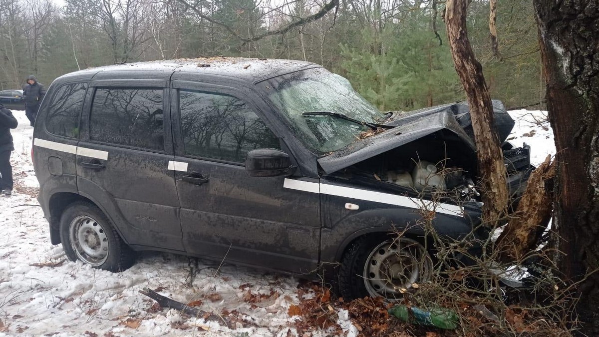 В Ряжском районе Chevrolet Niva врезалась в дерево | ИЗДАТЕЛЬСТВО «ПРЕССА»