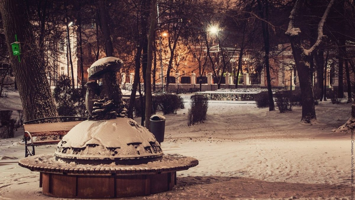 Нижний городской парк в Рязани реконструируют в ближайшие два года |