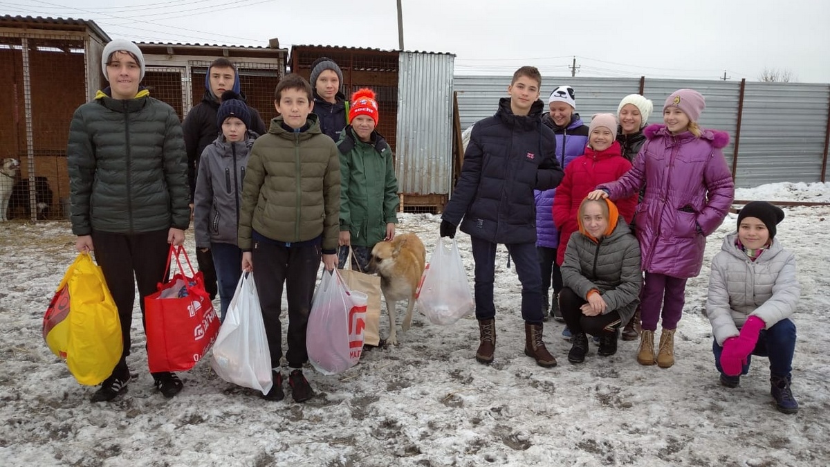 Рыбновские школьники помогли приюту для животных | ИЗДАТЕЛЬСТВО «ПРЕССА»