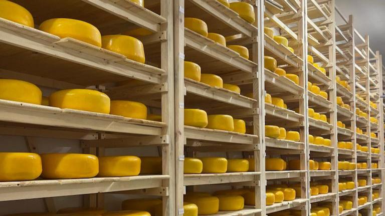 Купить сыр рязань. Производство сыра. Переработанные сыры. Фабрика простор. Министр сыр производитель.