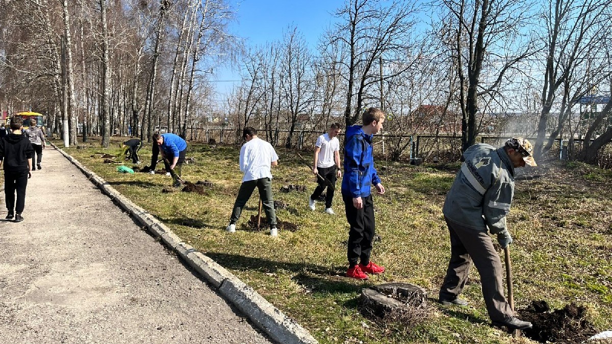 В Пронском районе юные тырновчане посадили тридцать саженцев сосны в честь