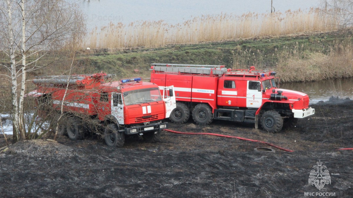 В Рязанской области за прошлую неделю потушили 500 пожаров - ИЗДАТЕЛЬСТВО