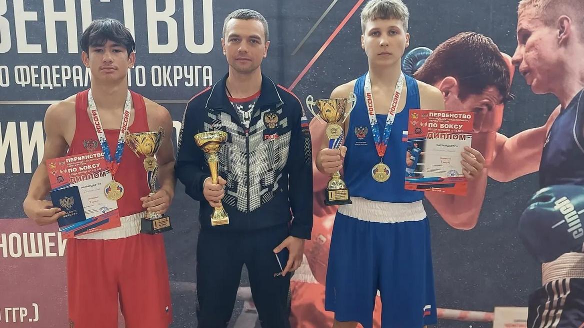 Волк боксер Чемпионат по боксу игрушка