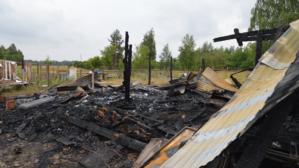 В старожиловской деревне Бутырки сгорел сарай | 29.06.2023 | Рязань -  БезФормата