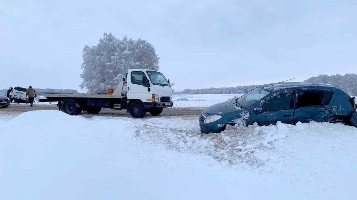 Два Renault столкнулись на 69-м километре дороги Рязань – Пронск – Скопин