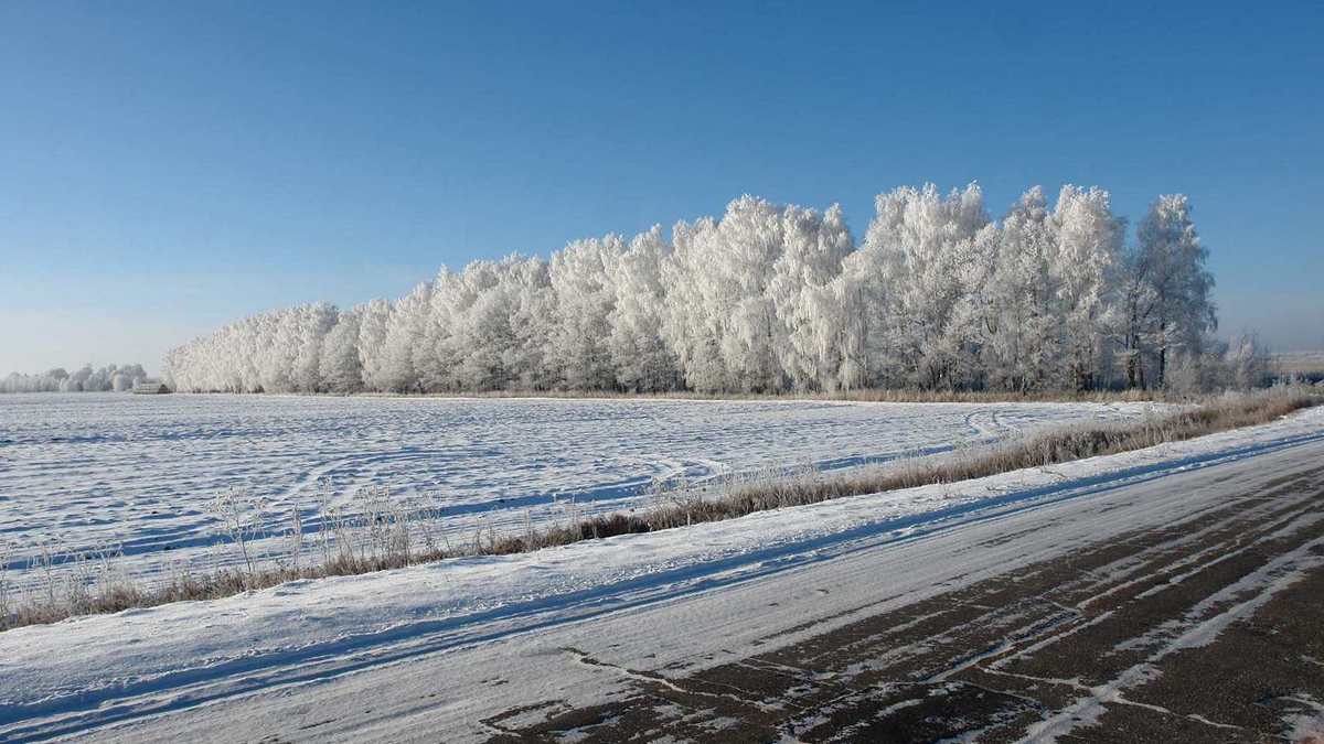 Погода в касимове на 14 дней