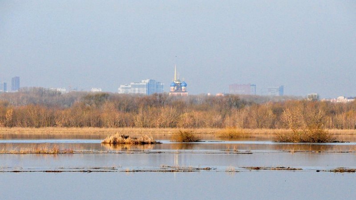 Половодье в Рязанской области. Обстановка на утро 31 марта | ИЗДАТЕЛЬСТВО  «ПРЕССА»