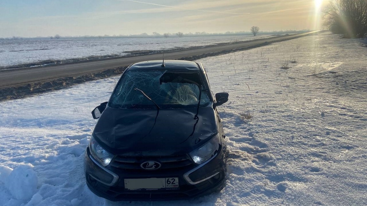 В Рязанском районе молодая девушка-водитель на легковушке вылетела в кювет