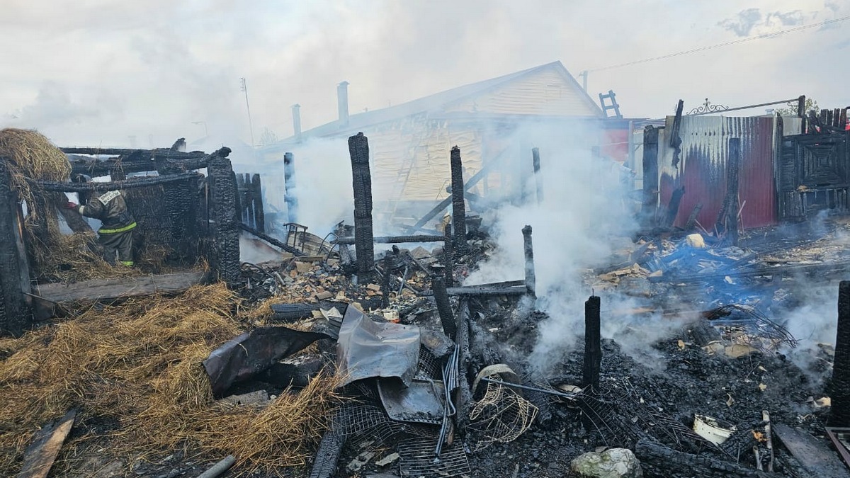 В Шацком районе сгорел гараж с автомобилем - ИЗДАТЕЛЬСТВО «ПРЕССА»