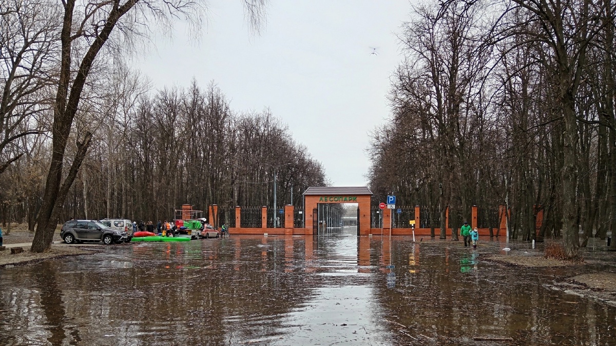 Половодье в Рязанской области. Ситуация на утро 8 апреля | ИЗДАТЕЛЬСТВО  «ПРЕССА»