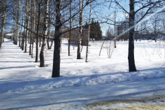 img_20210303_103859_novyj-razmer