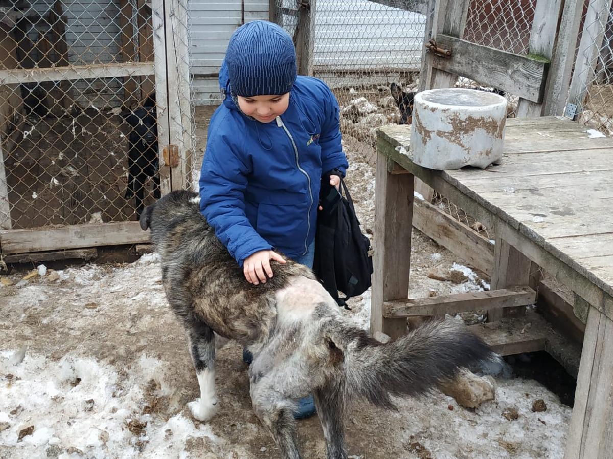 Спасские школьники помогли бездомным животным | 02.03.2022 | Рязань -  БезФормата