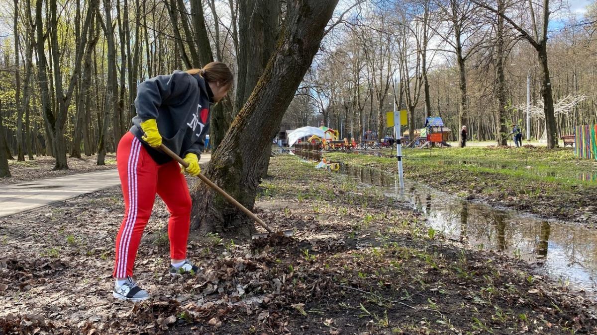 Рязанский лесопарк вновь открыли для посещения | 04.05.2022 | Рязань -  БезФормата