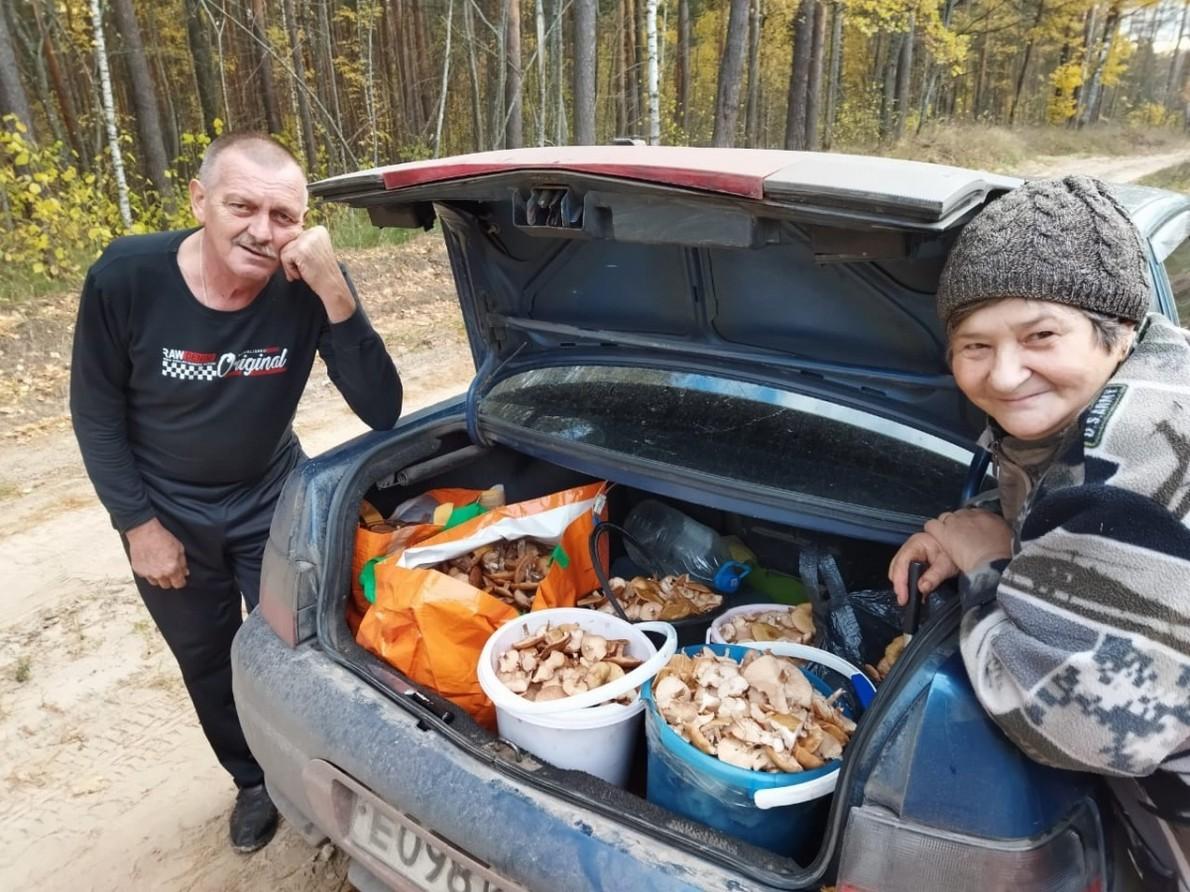 Собирают ли грибы серушки в Рязанской области