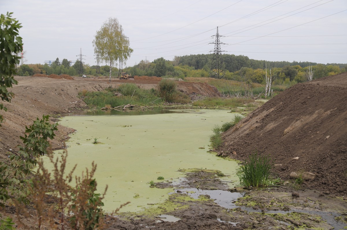 Хамбушево рязань. Рязанская городская свалка. Свалка в Рязани на окружной. Хамбушево Рязань фото. Огибалый лоск пруд в Хамбушево Рязань.