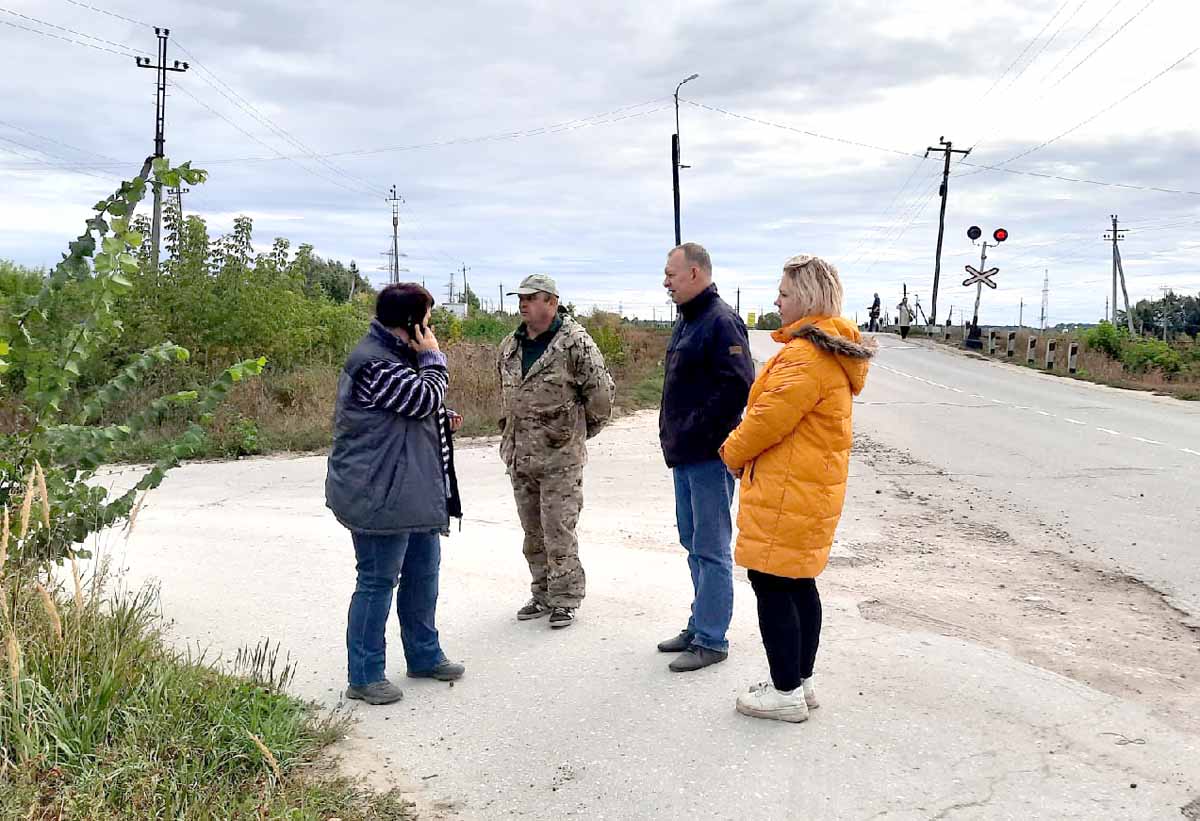 Пять бродячих собак увезли из Новомичуринска в Луховицы | 08.09.2021 |  Рязань - БезФормата