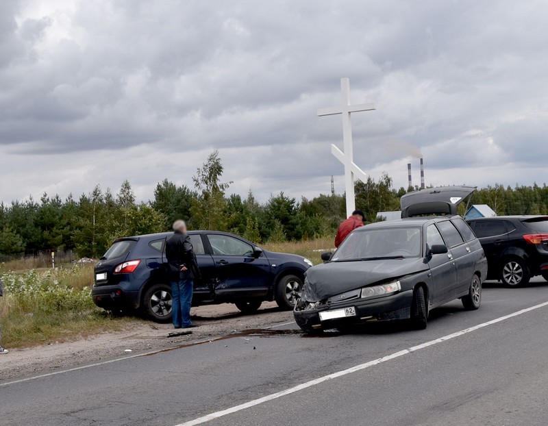 Пронский брехунок новомичуринск