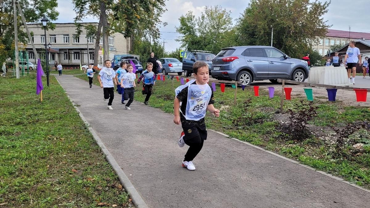 Более 200 шатчан участвовали в забеге «Кросс нации» | 17.09.2023 | Рязань -  БезФормата