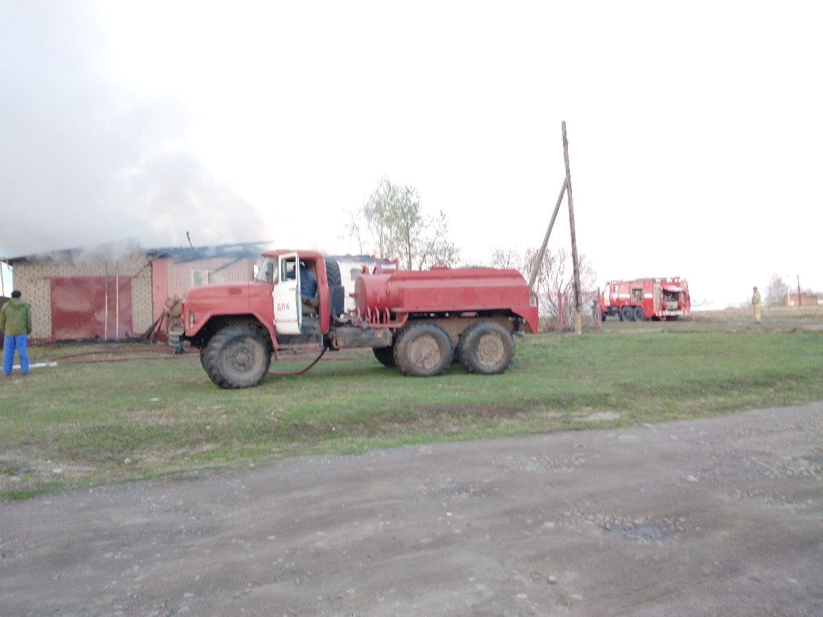 Собака спасла хозяев горящего дома в старожиловской деревне Муняково -